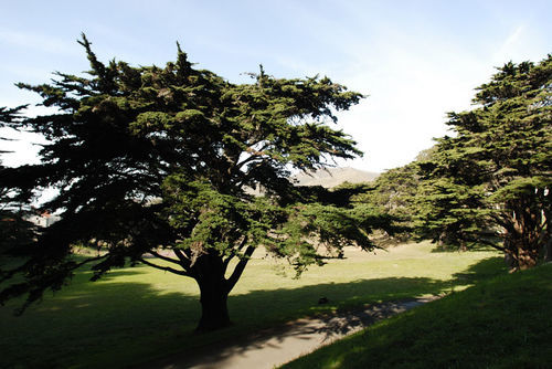 Hi Marin Headlands Hostel Sausalito Bagian luar foto